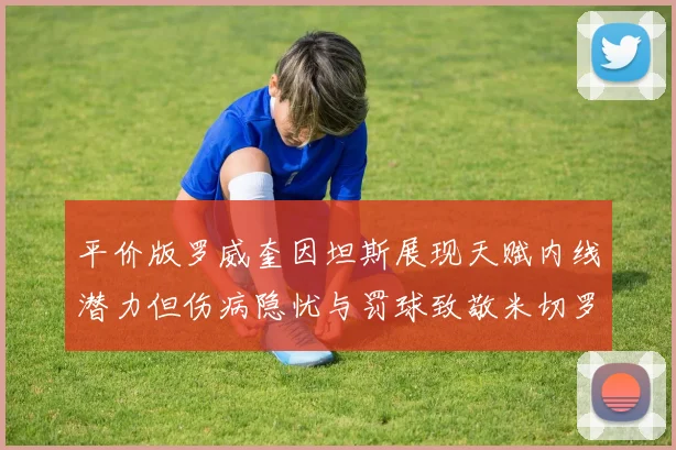 平价版罗威奎因坦斯展现天赋内线潜力但伤病隐忧与罚球致敬米切罗
