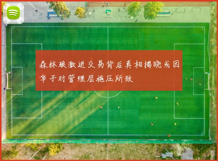 森林狼激进交易背后真相揭晓或因华子对管理层施压所致